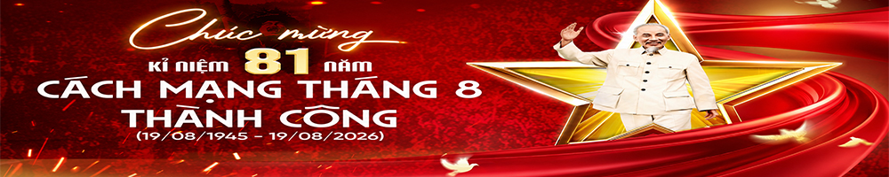 81 nam cmt8
