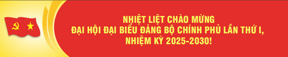 đại hội đại biểu 2025
