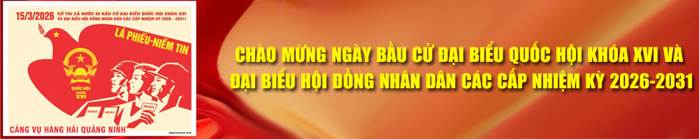 BẦU CỬ